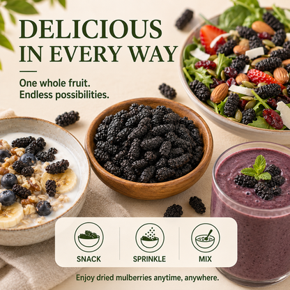 Organic Dried Black Mulberries – Superfood Snack for Daily Wellness