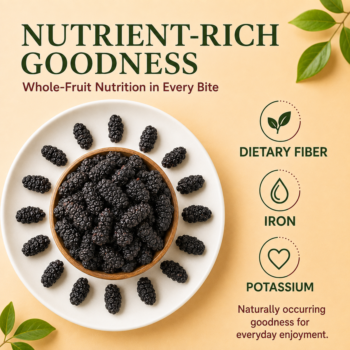 Organic Dried Black Mulberries – Superfood Snack for Daily Wellness